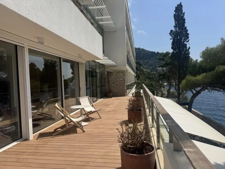 Opis slike