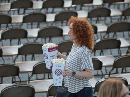 Opis slike