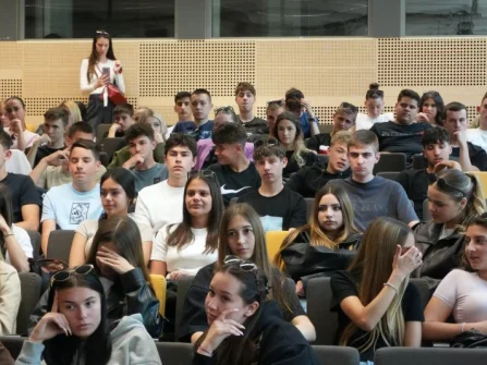 Opis slike