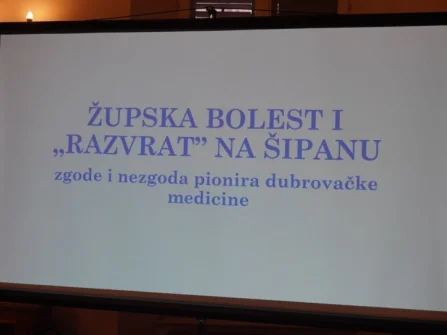 Opis slike