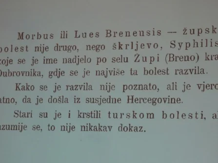 Opis slike