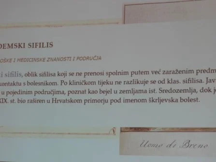 Opis slike
