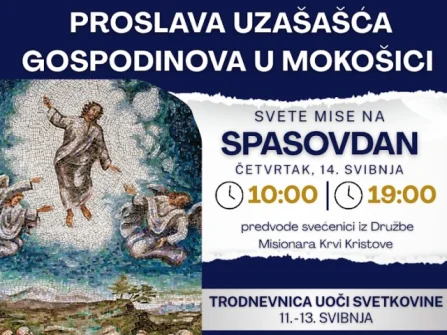 Opis slike