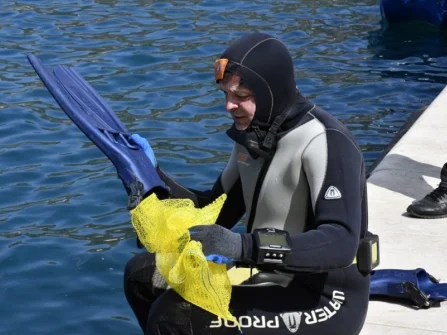 Opis slike