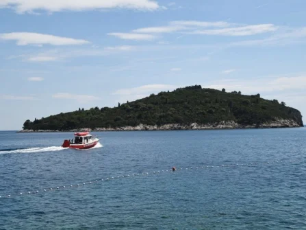 Opis slike