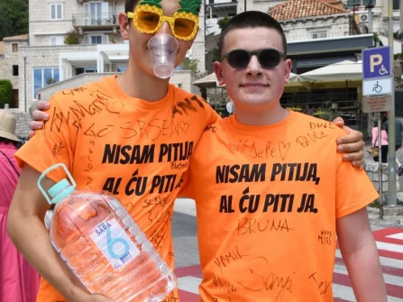 Opis slike