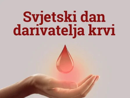 Opis slike
