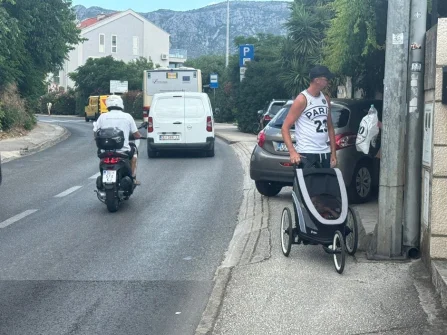 Opis slike