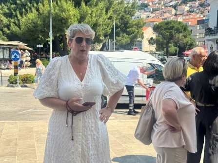 Opis slike