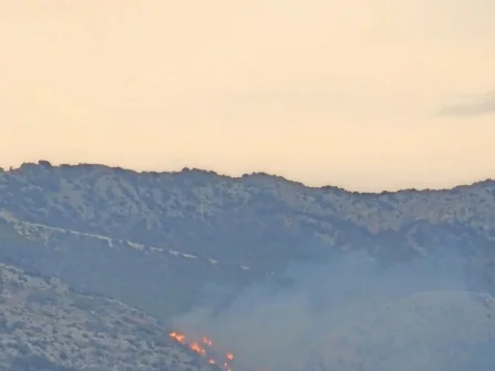 Opis slike