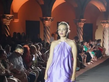Opis slike
