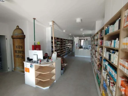 Opis slike