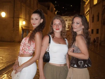 Opis slike