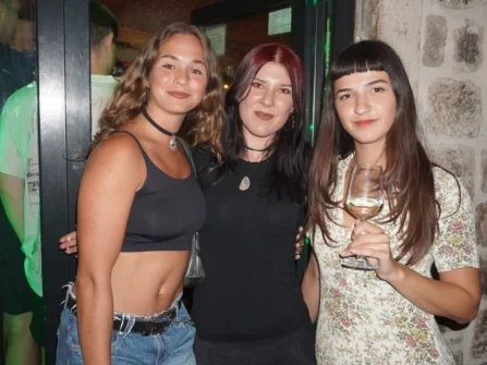 Opis slike