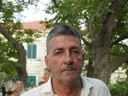 Opis slike