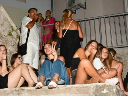 Opis slike