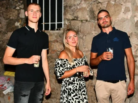 Opis slike