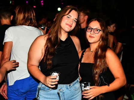 Opis slike