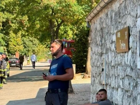 Opis slike