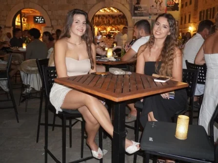 Opis slike