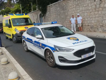 Opis slike
