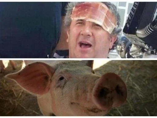 Alt za sliku