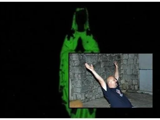 Alt za sliku