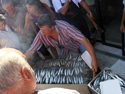 Alt za sliku