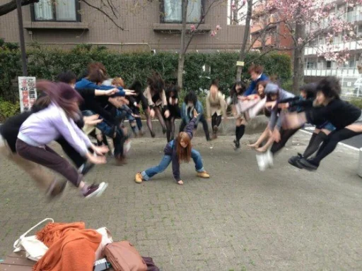 Alt za sliku