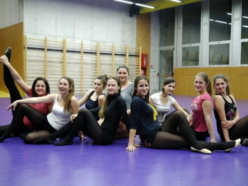 Alt za sliku