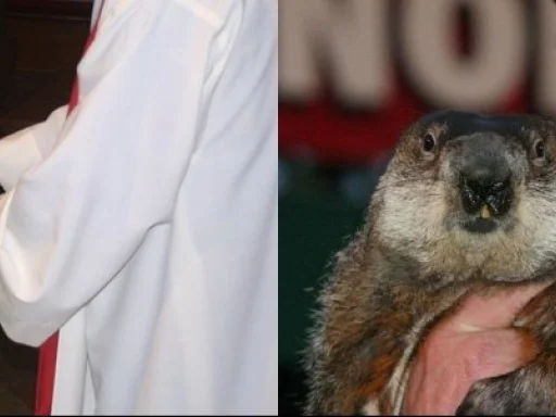 Alt za sliku