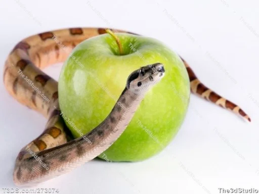 Alt za sliku