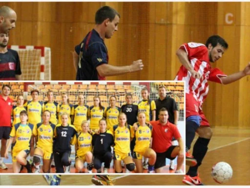 Alt za sliku