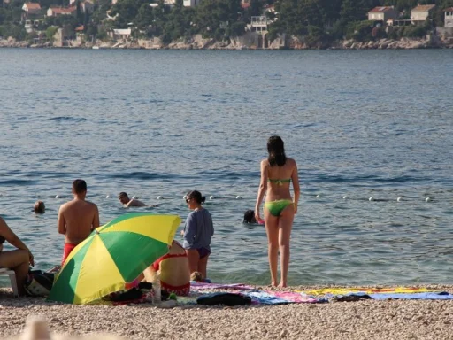 Alt za sliku