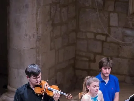 Alt za sliku