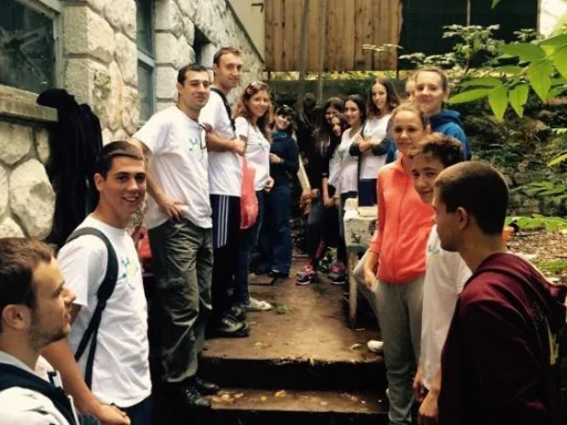 Alt za sliku