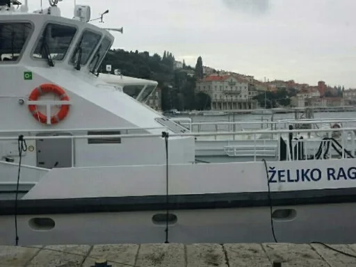 Alt za sliku