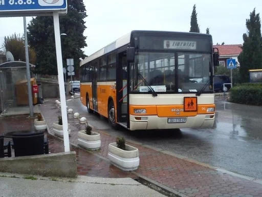 Alt za sliku