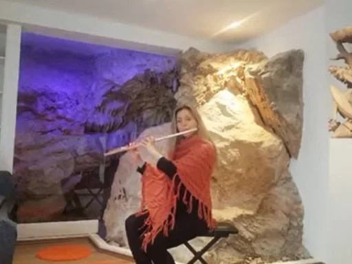 Alt za sliku