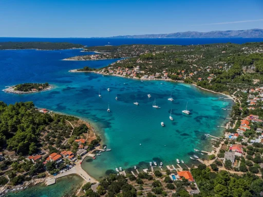 Alt za sliku