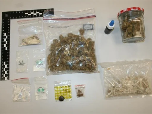 Alt za sliku