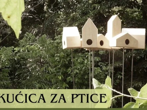 Alt za sliku