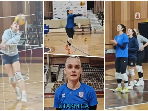 Alt za sliku
