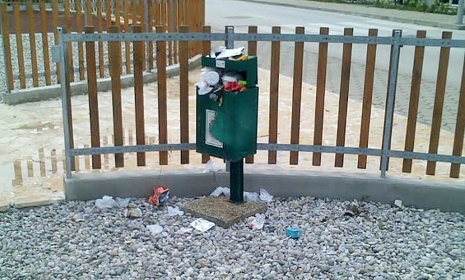 cistoca_solitudo_smece (2)