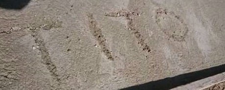 12088556_1007255855971495_6577858598184877967_n (1)