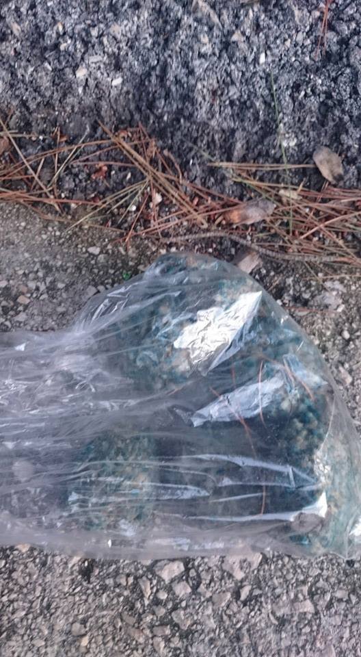 12041813_1572839196340975_994761482_n