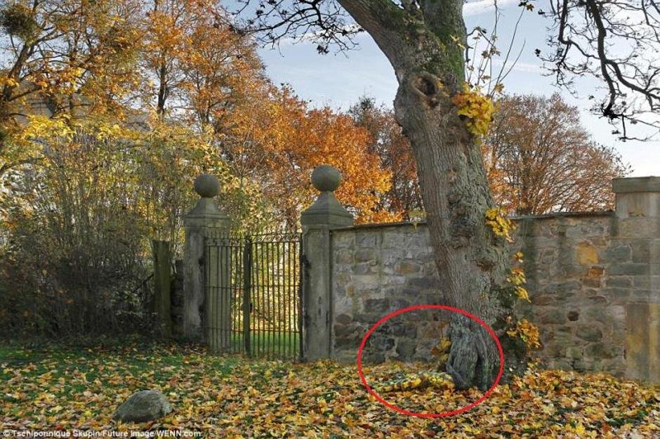 56aaad8e473ef833a8f9