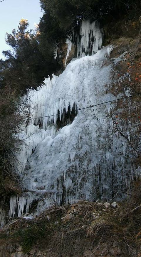 15871529_1353052674769796_7901505671205662441_n