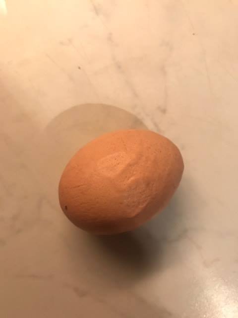 17105692_1854356888156958_533187207_n