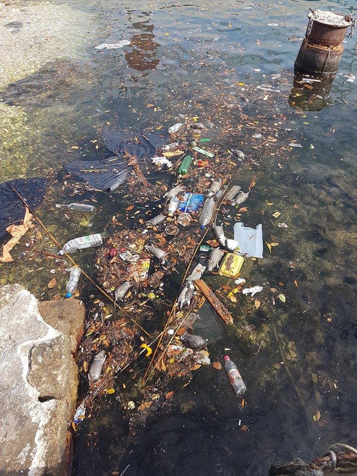 Čitateljica